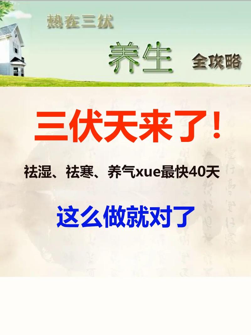 为什么2023年三伏天没有40天呢「三伏天总共40天」 计算机论文