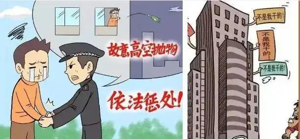 高空抛物物业有责任吗，你怎么看「城管暴摔」 论文格式